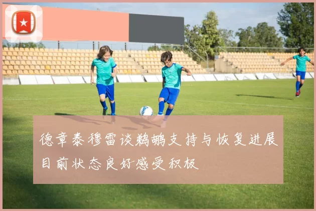 德章泰穆雷谈鹈鹕支持与恢复进展目前状态良好感受积极
