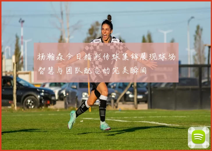 杨瀚森今日精彩传球集锦展现球场智慧与团队配合的完美瞬间